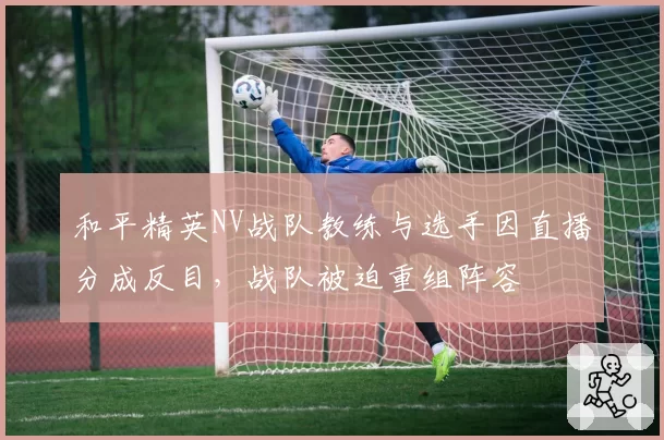 和平精英NV战队教练与选手因直播分成反目,战队被迫重组阵容