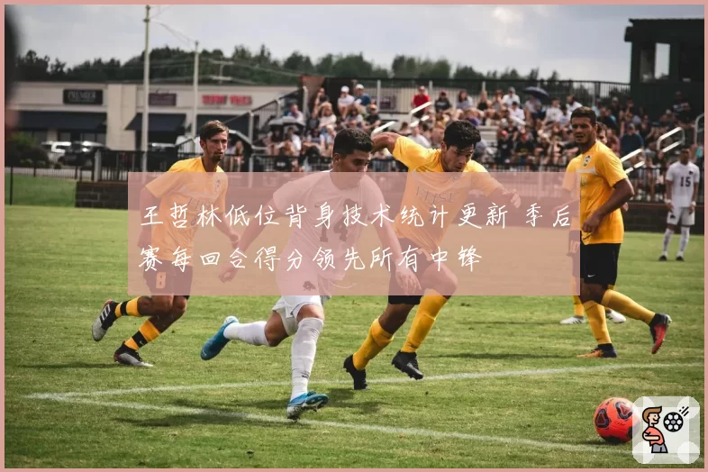 王哲林低位背身技术统计更新 季后赛每回合得分领先所有中锋