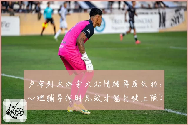 卢布列夫加拿大站情绪再度失控,心理辅导何时见效才能打破上限?