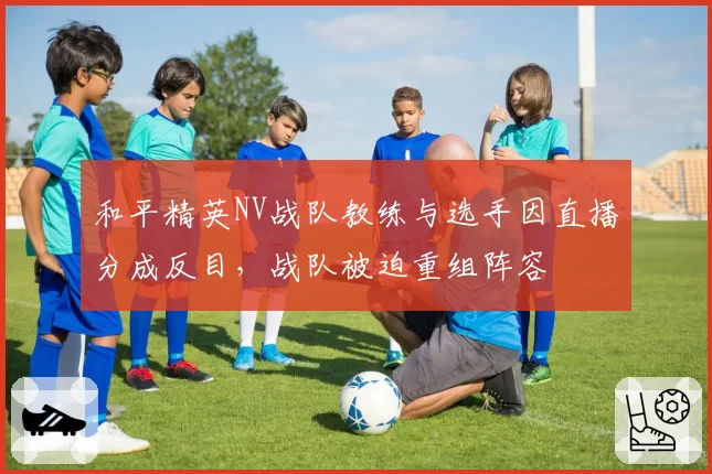 和平精英NV战队教练与选手因直播分成反目,战队被迫重组阵容