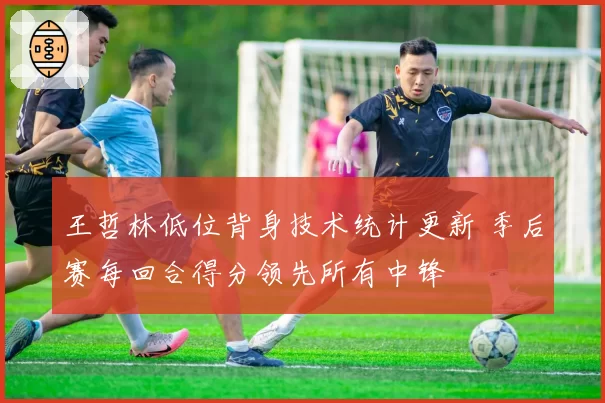 王哲林低位背身技术统计更新 季后赛每回合得分领先所有中锋